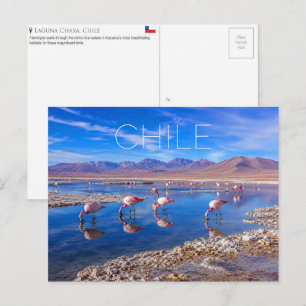 Carte postale de voyage Laguna Chaxa, Atacama, Chi