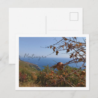 Carte postale de voyage photo Monténégro