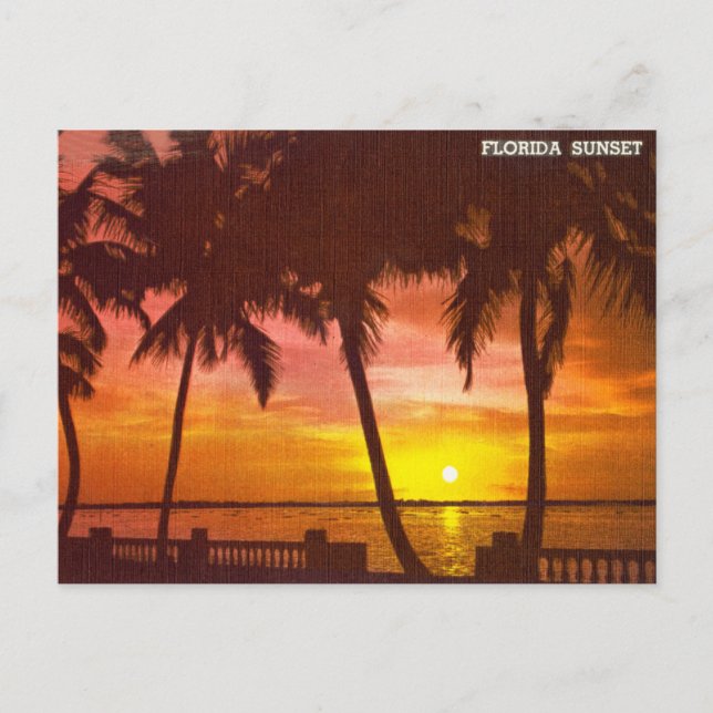 Carte postale de voyage vintage Florida Sunset (Devant)