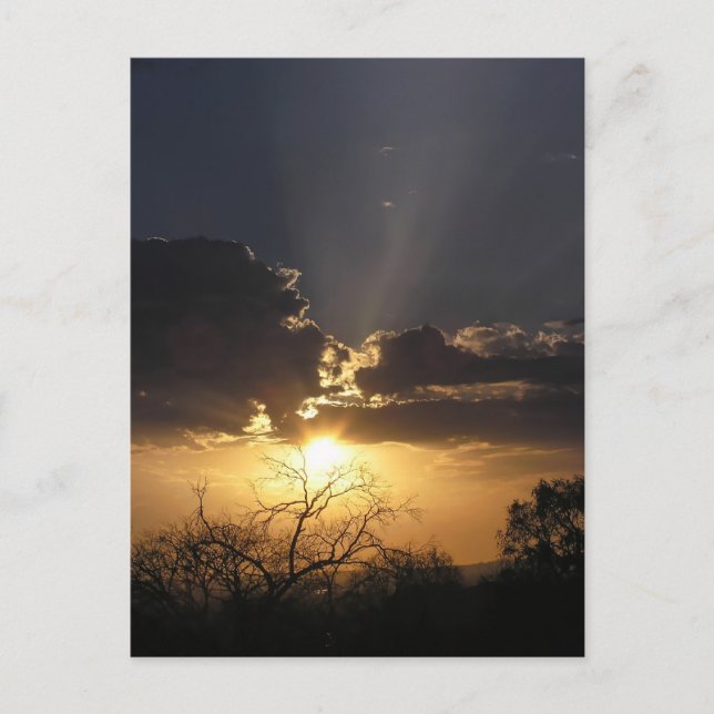 Carte postale de vues d'art vivant (Devant)