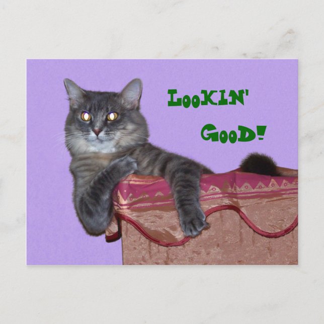 Carte postale de Xena Chillin - Customisée (Devant)