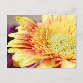 Carte postale de Yellow Flower And Droplet