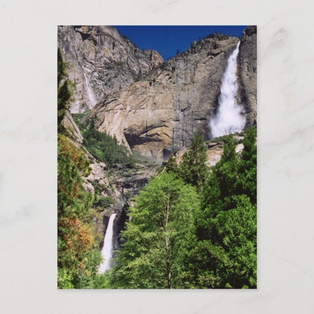 Carte postale de Yosemite Falls (Devant)