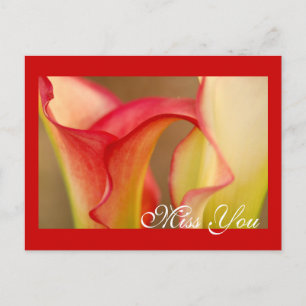 Carte postale de zantedeschia de Mlle You