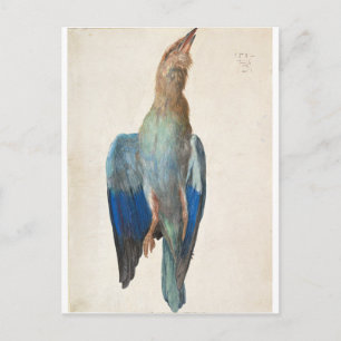 Carte Postale Dead Blue Roller par Albrecht Durer