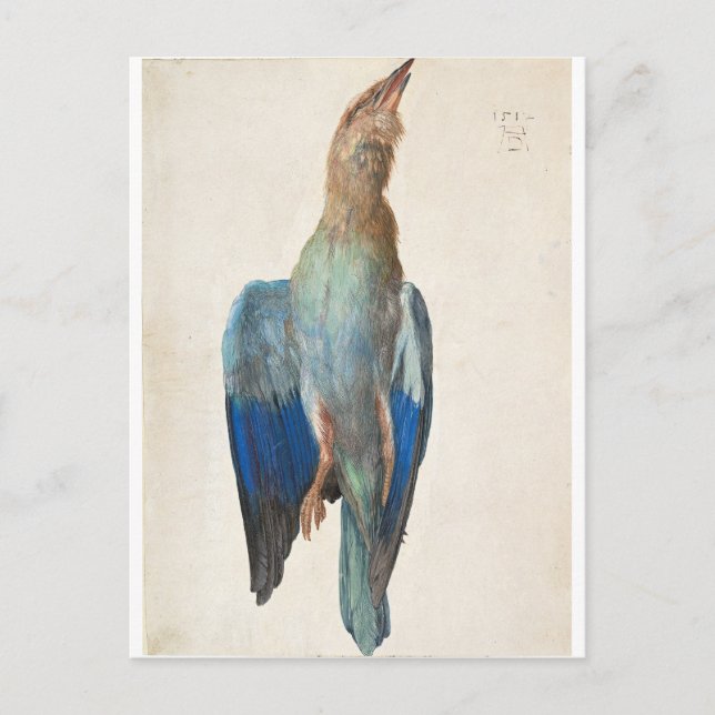 Carte Postale Dead Blue Roller par Albrecht Durer (Devant)