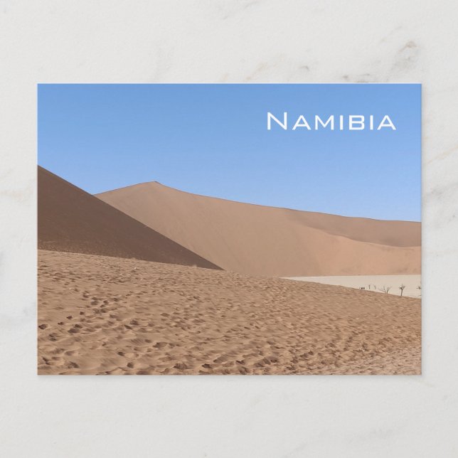 Carte postale Dead Vlei, Namibie (Devant)