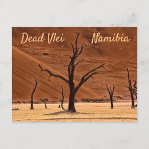Carte Postale Dead Vlei Namibie photo de paysage avec texte