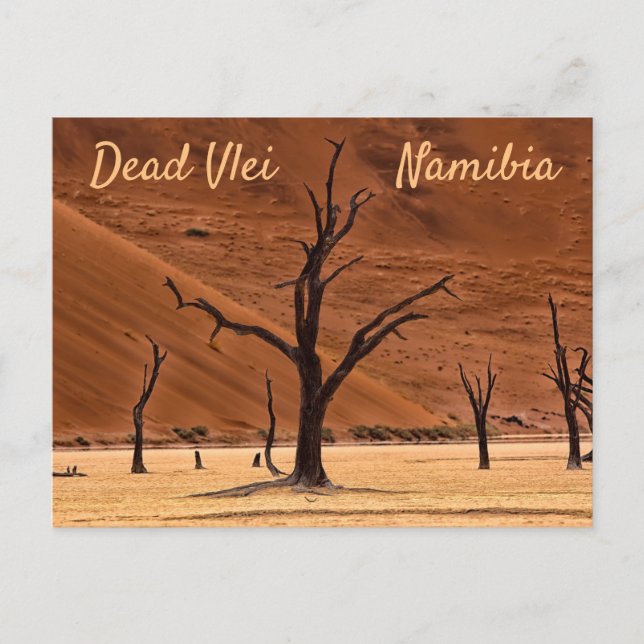Carte Postale Dead Vlei Namibie photo de paysage avec texte (Devant)