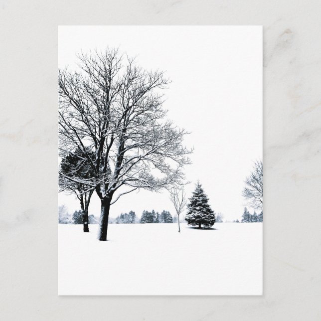 Carte Postale Debout Dans La Neige (Devant)