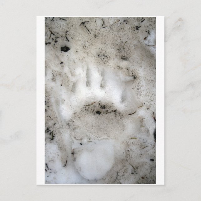 Carte Postale début de saison (Devant)