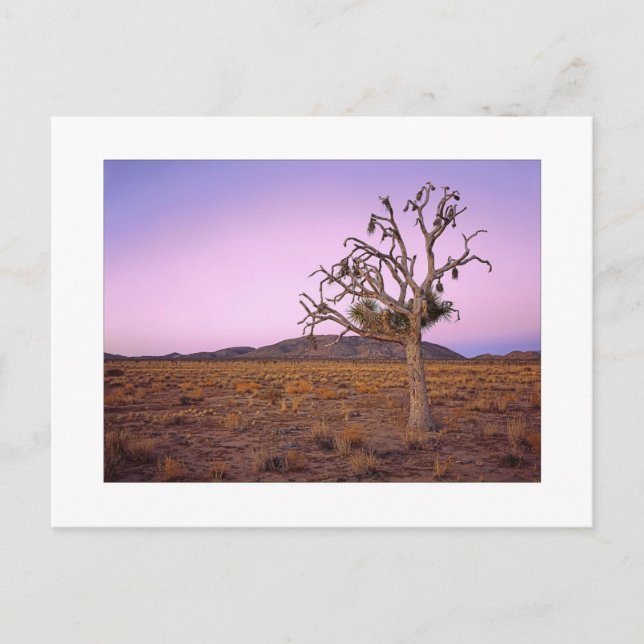 Carte Postale " Décalage géométrique " (Devant)