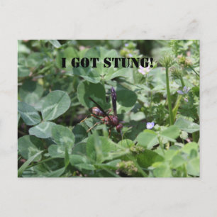 Carte Postale Déchets