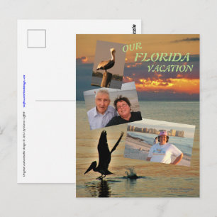 Carte Postale décollage pélican au coucher du soleil Côte du Gol
