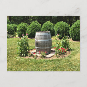 Carte Postale Décor jardin en tonneau de vin, Château Morrisette