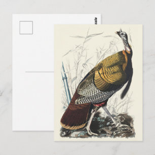Carte Postale Décoration artistique de Thanksgiving sur la dinde