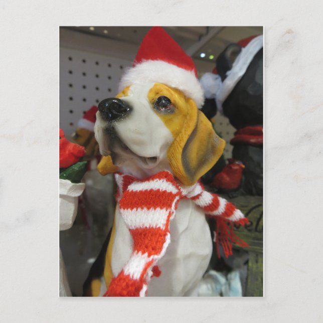 Carte Postale Décoration de la peau (Devant)