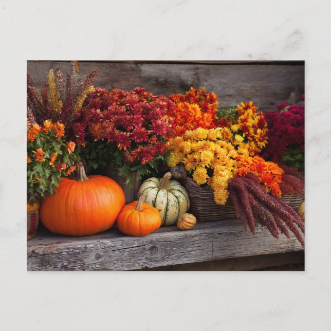 Carte Postale Décoration de table de récolte d'automne - Citroui (Devant)