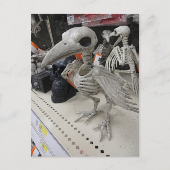 Carte Postale Décoration du squelette d'oiseaux (Devant)