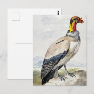 Carte Postale Décoration murale vibrante et exotique du roi vaut