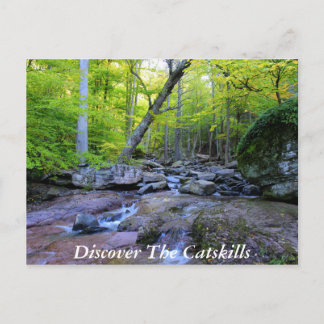 Carte Postale Découvrez les CatSkills 5