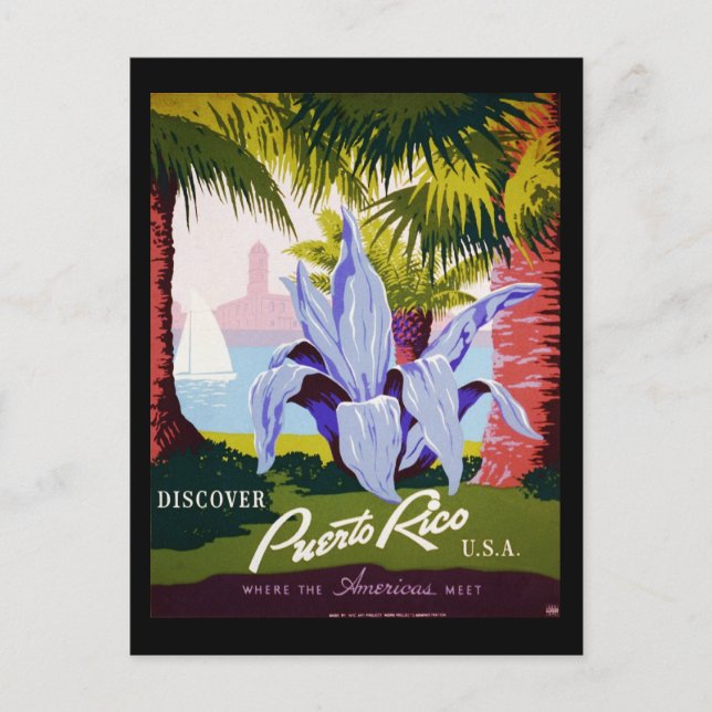 Carte Postale Découvrez Porto Rico U.S.A. (Devant)
