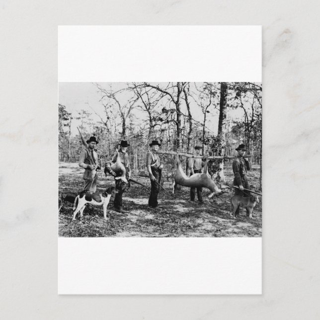 Carte Postale Deer Hunter, 1922 (Devant)