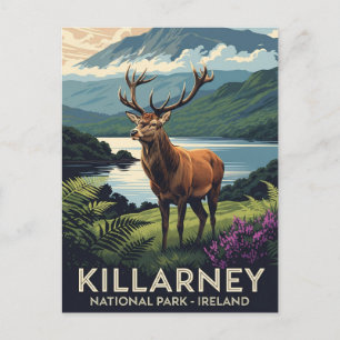 Carte Postale Deer in Killarney National Park Irlande Travel