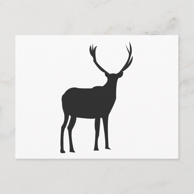 Carte Postale Deer mûre Antlers (Devant)