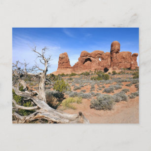 Carte Postale Défilé d'éléphants à Arches National Park