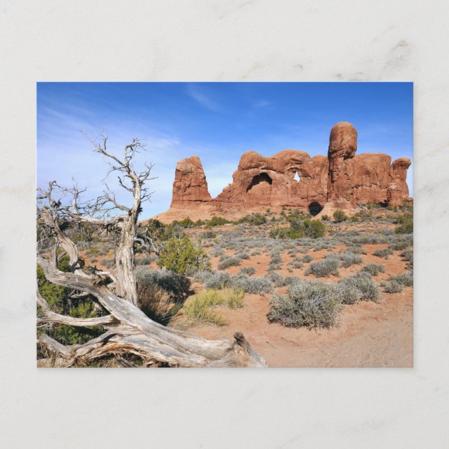 Carte Postale Défilé d'éléphants à Arches National Park (Devant)
