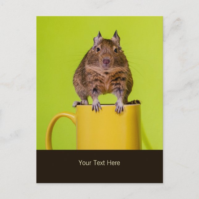 Carte Postale Degu assis sur une Mug (Devant)