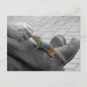 Carte Postale Déjeuner Chipmunk