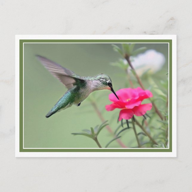 Carte Postale Déjeuner en étoile (Devant)