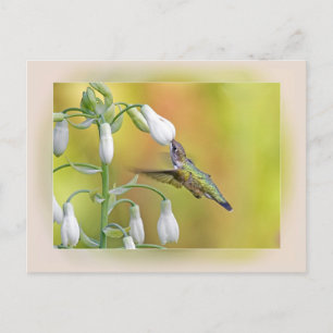 Carte Postale Déjeuner en plein air
