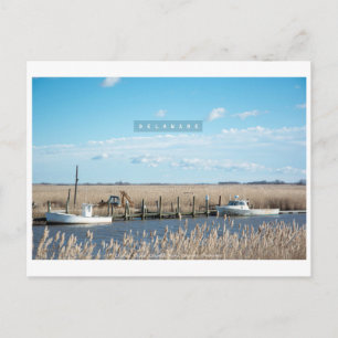 Carte Postale Delaware rurale et sauvage.