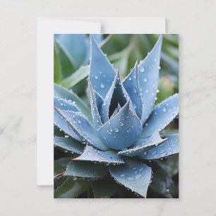 Carte Postale Délicat Agave Botanique Photoréaliste Numérique