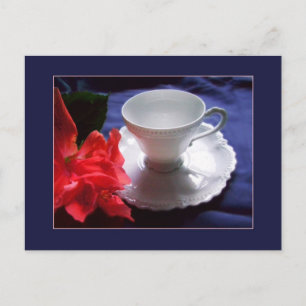 Carte Postale Délicat blanc Demitasse