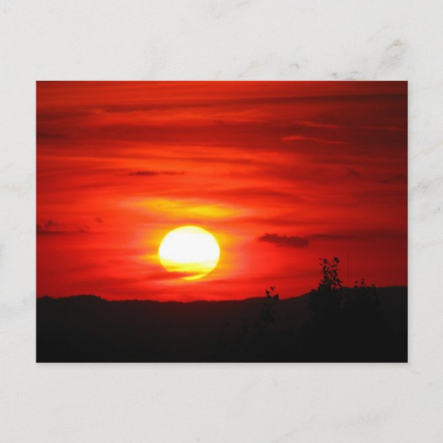 Carte postale délicieux du marin (Devant)