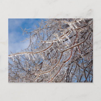 Carte Postale Delmar Loop en décembre