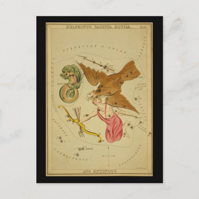 Carte Postale Delphinus, Sagitta, Aquila et Antines (Devant)
