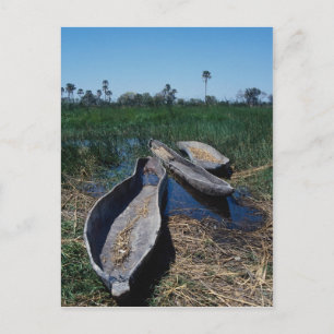 Carte Postale Delta de l'Okavango à Mokoro, Botswana