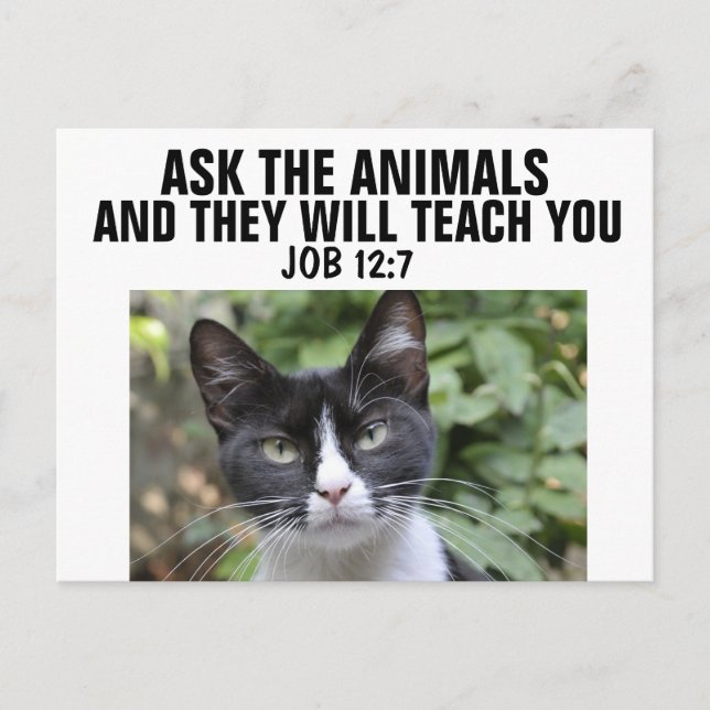 CARTE POSTALE DEMANDEZ AUX ANIMAUX QU'ILS VOUS ENSEIGNERONT, CAR (Devant)