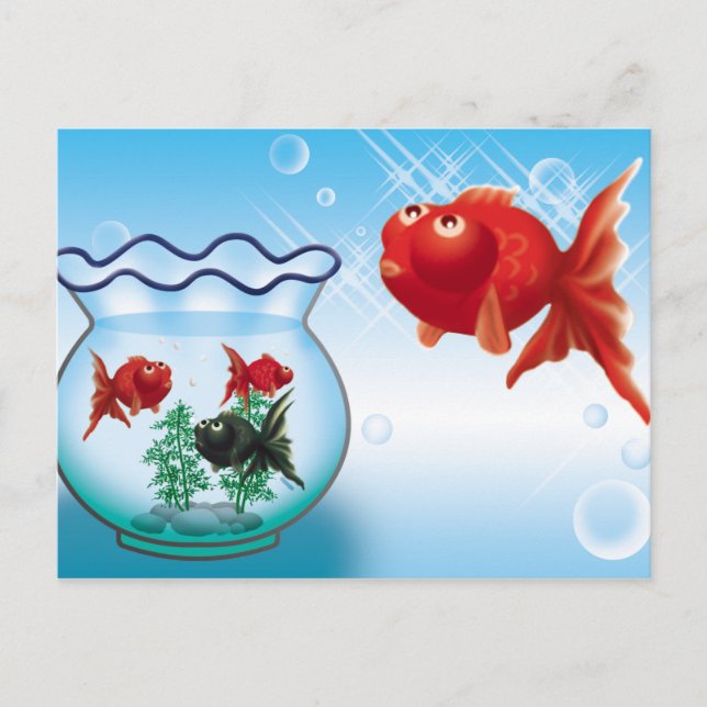 Carte Postale Demekin -Telescope Goldfish- (Devant)