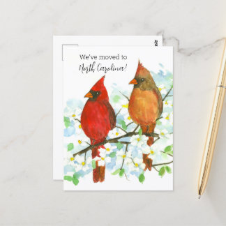 Carte Postale Déménagement des cardinaux de la Caroline du Nord