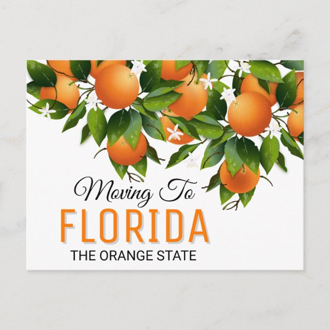 Carte Postale Déménager En Floride | Changement d'adresse (Devant)