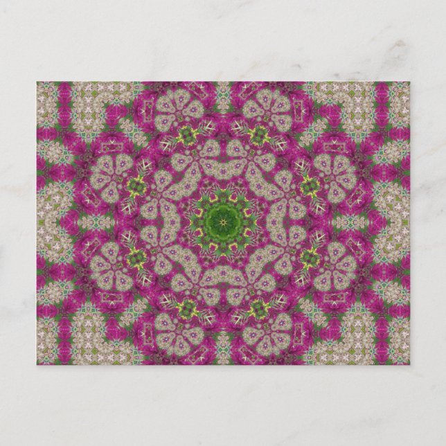 Carte Postale Dentelle de fleur magenta Mandala (Devant)