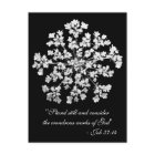 Dentelle de la reine Anne Job 37:14