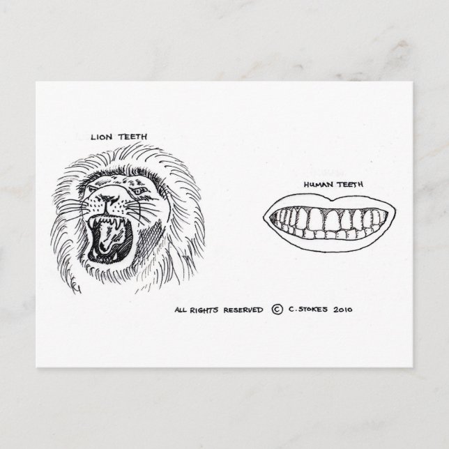 Carte Postale Dents (Devant)