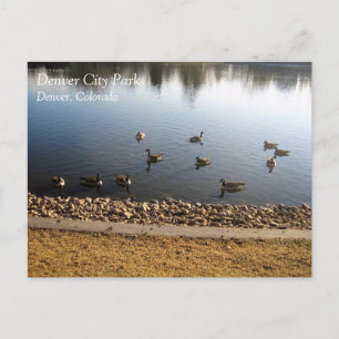 Carte Postale Denver City Park